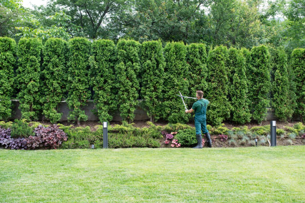 Lawn Irrigation Installation and Maintenance in Lincoln, ID